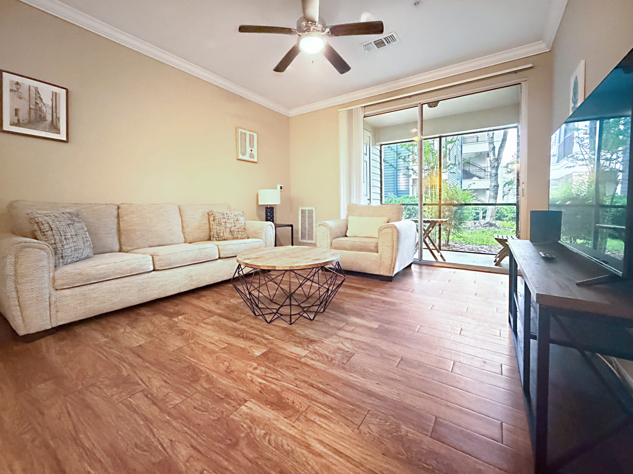 furnished apartment living room Tampa rental